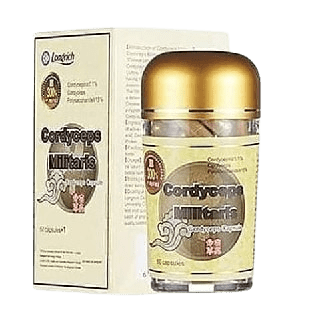 Cordyceps-Militaris-de-Longrich-min CORDYCEPS MILITARIS