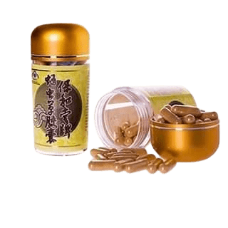 Cordyceps_Militaris-min CORDYCEPS MILITARIS