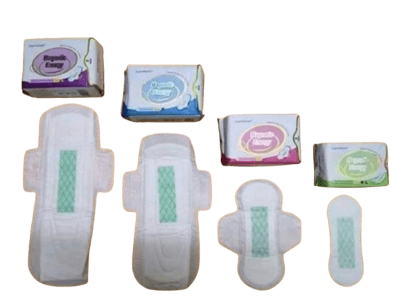 serviette-hygienique-magnetique-de-longrich1-min PROTEGE SLIP (PANTY LINER)